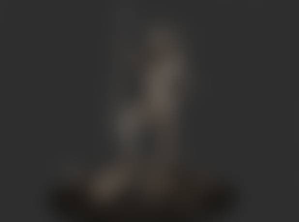 Amazon warrior girl with the spiar