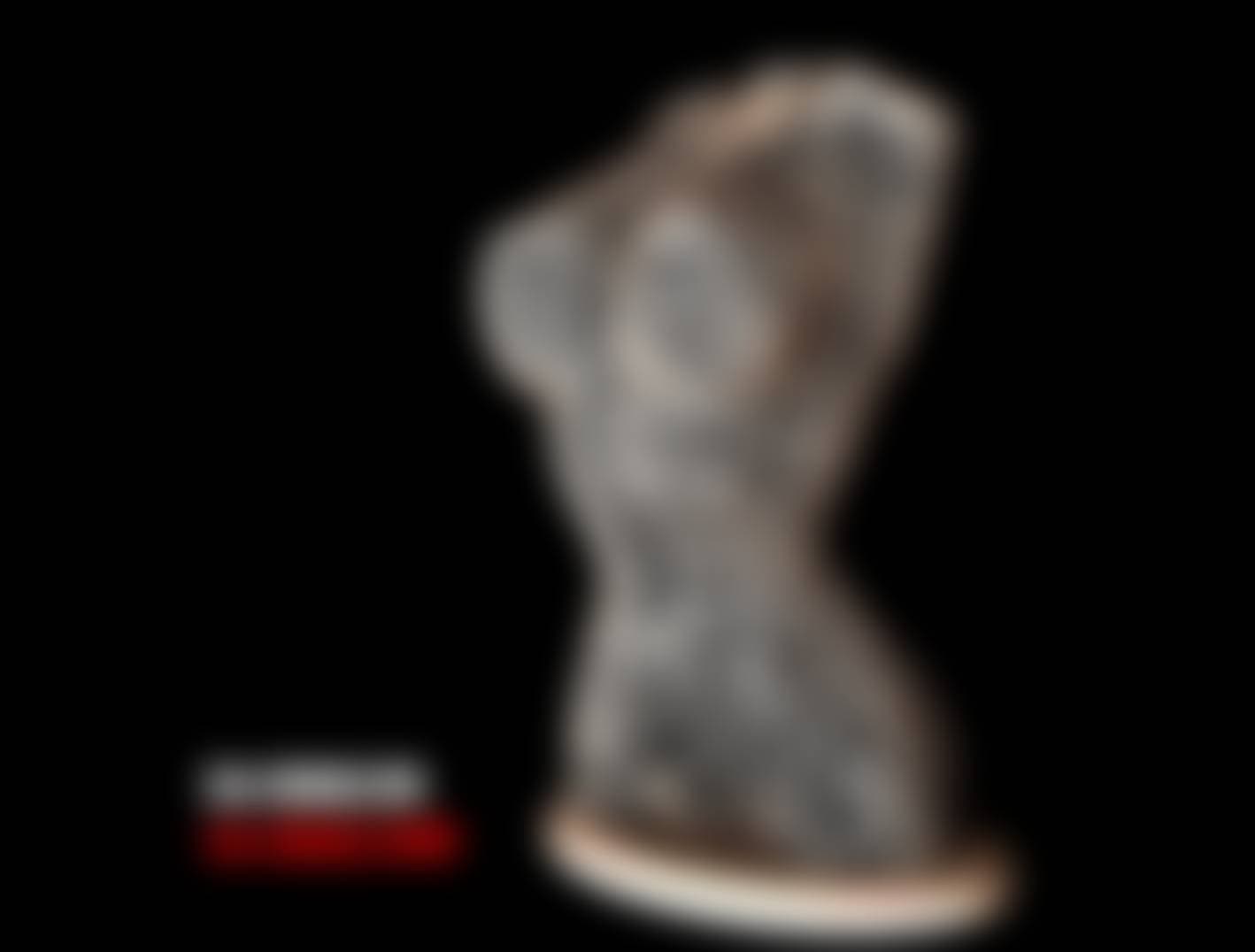 Female body, Remix, style Voronoi version 4
