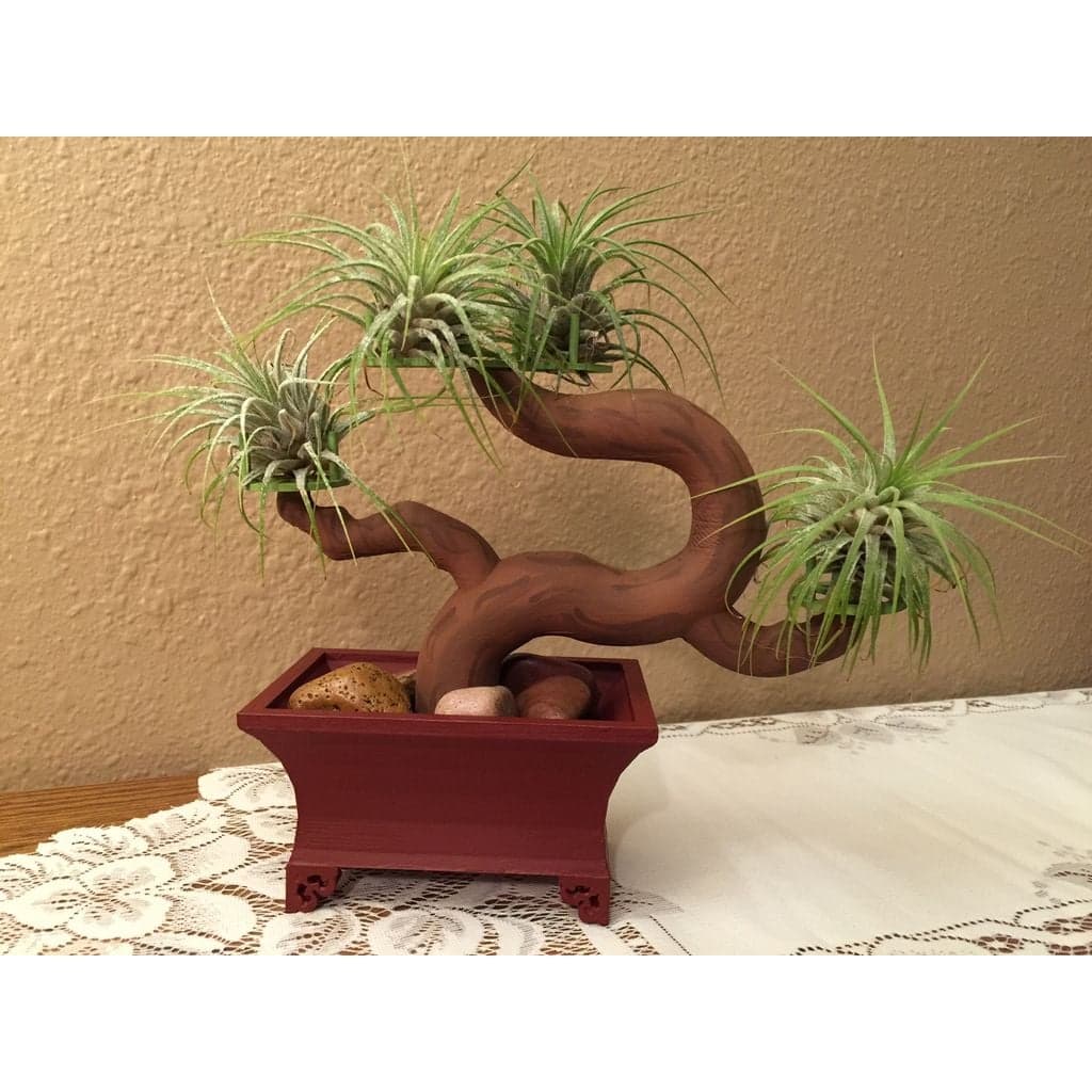 Дерево бонсай и горшок