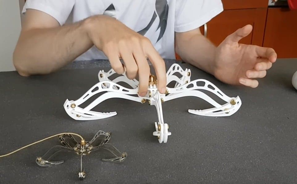 Коготь богомола