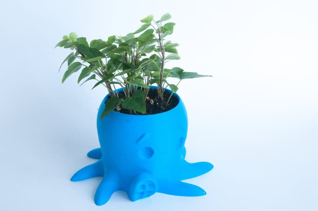 Плантатор для осьминогов