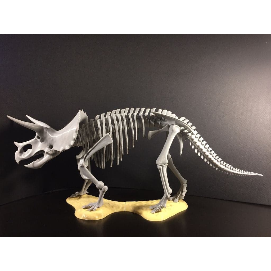 Скелет трицератопса прорсуса