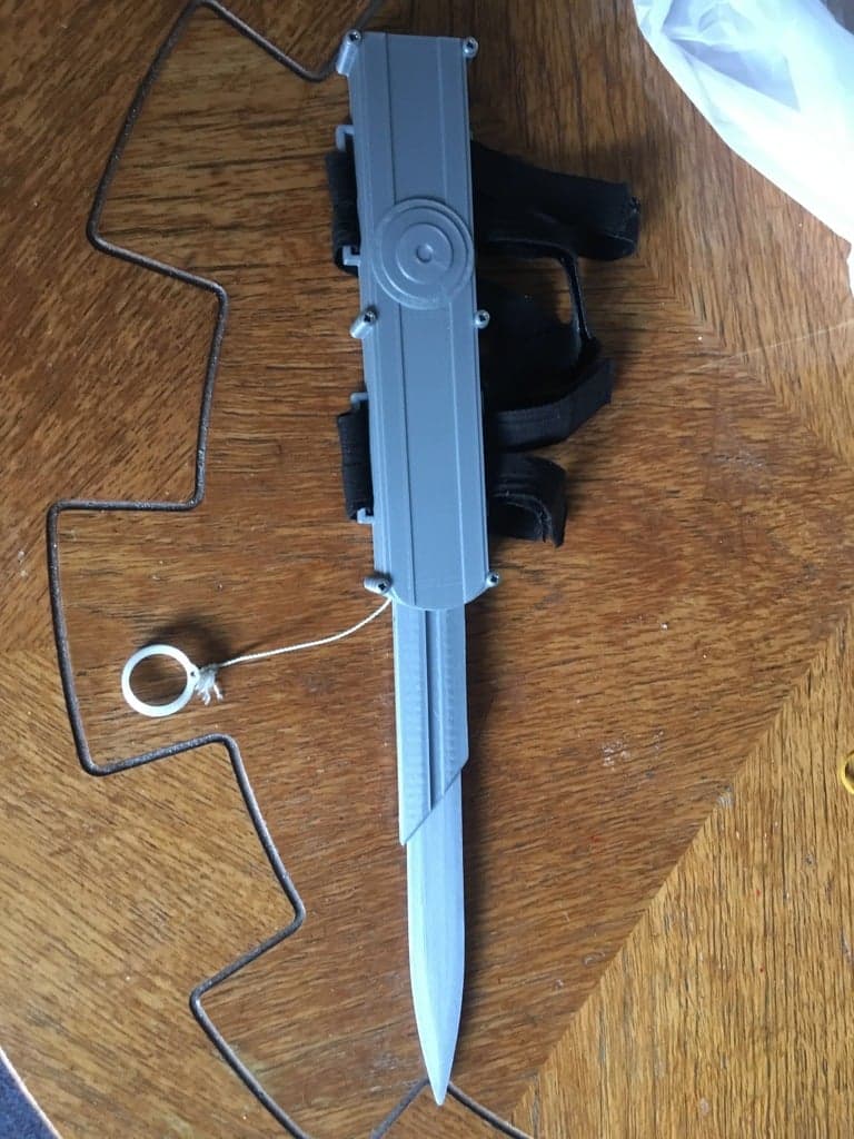 Скрытый клинок, издание Эцио