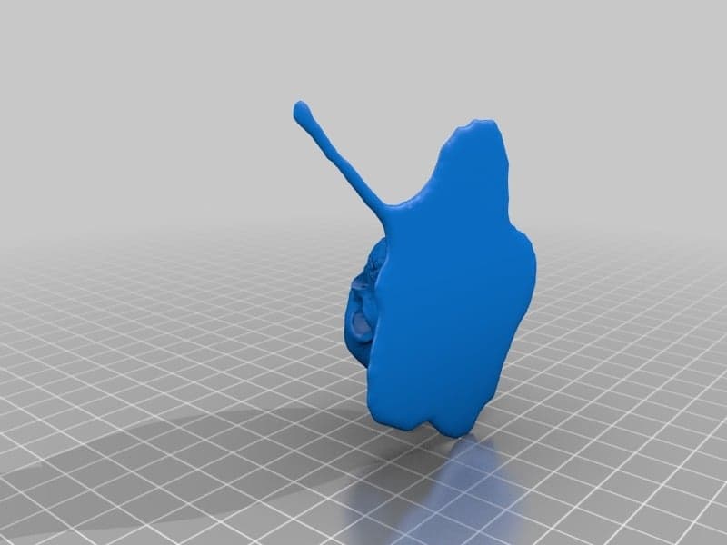 Тающий череп