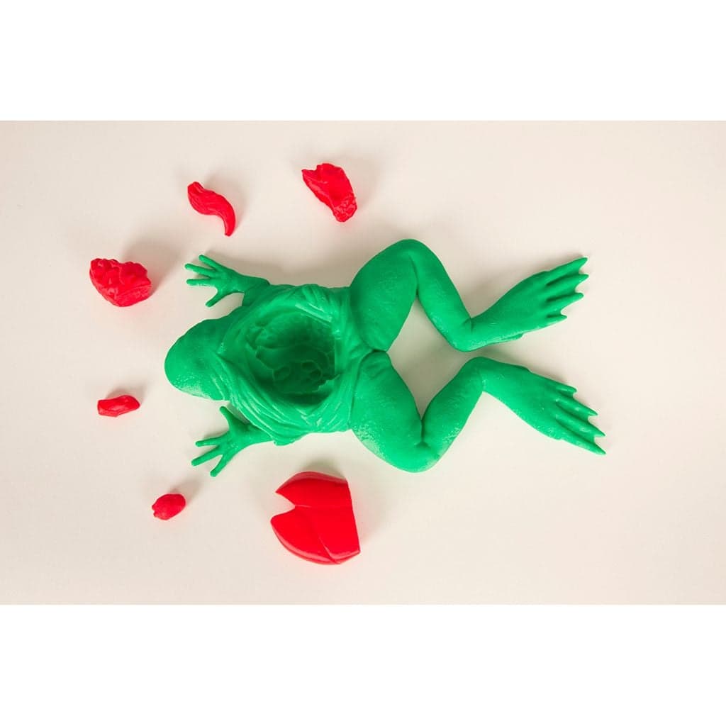 Набор для вскрытия лягушки