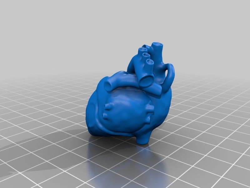 Брелок с анатомическим сердцем