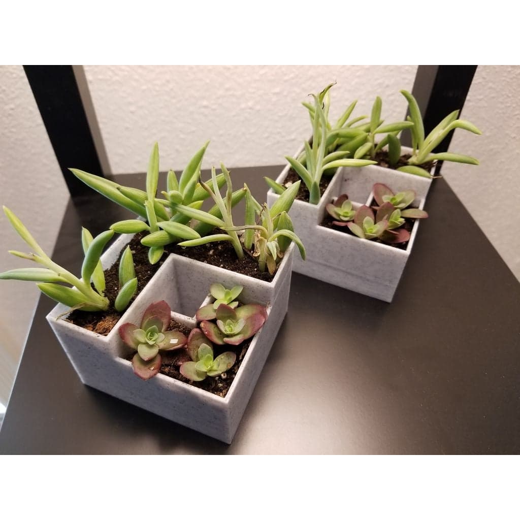 Самополивающийся плантатор