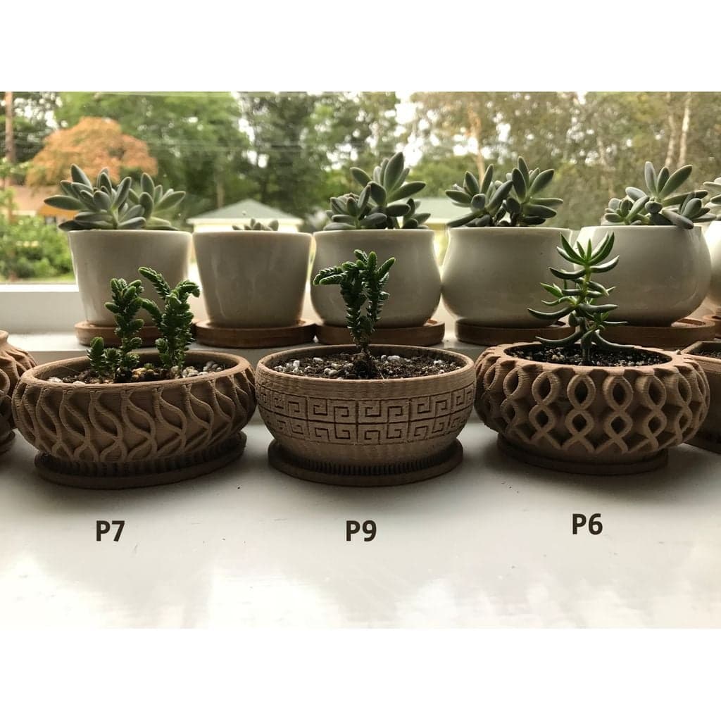 Суккулентный плантатор 7