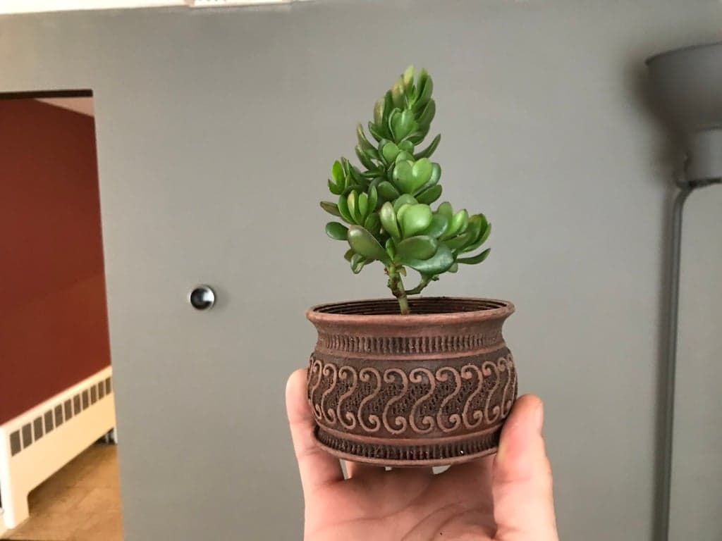 P13 — Вентилируемая сеялка «Золотое сечение»