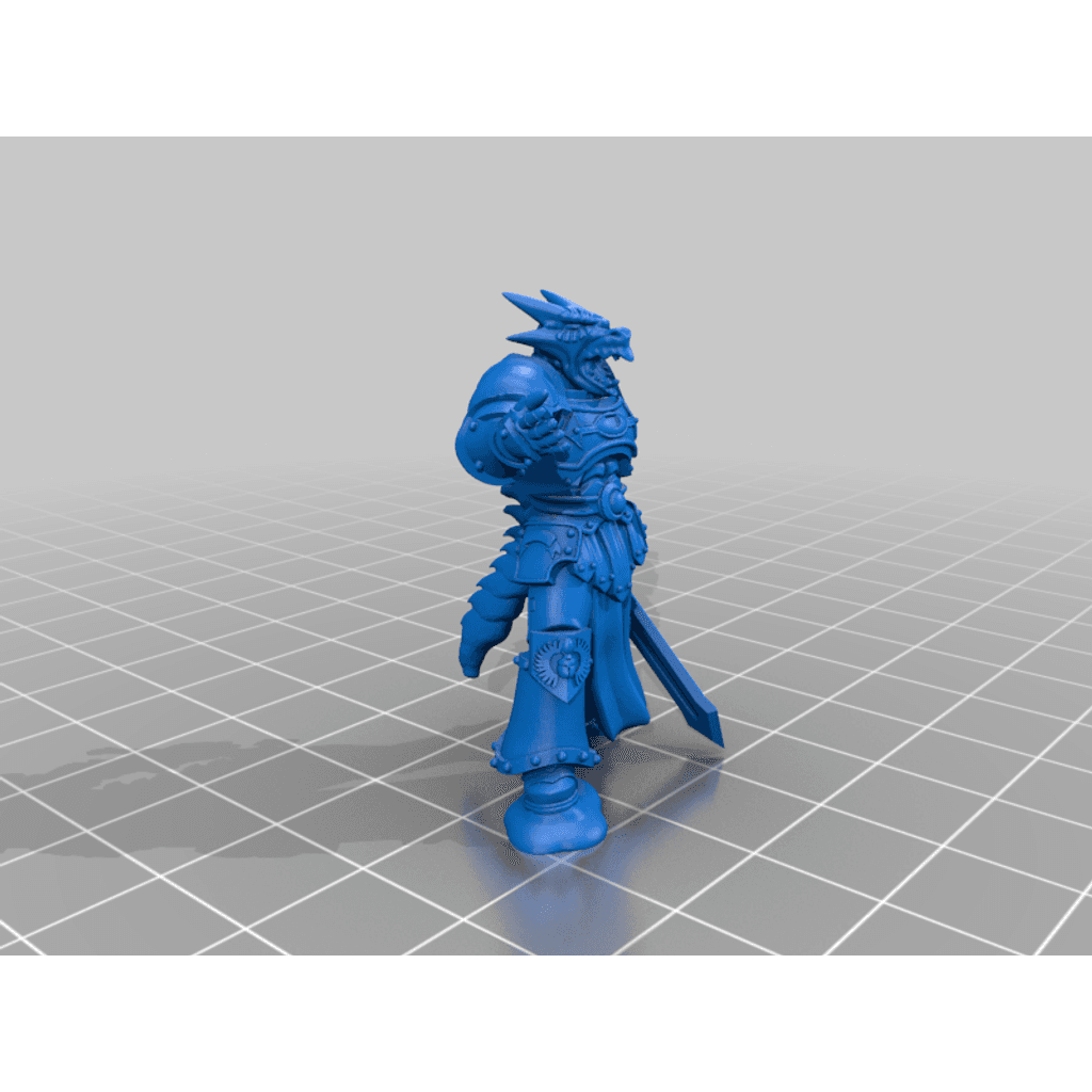 D&D Драконорожденный Паладин v2