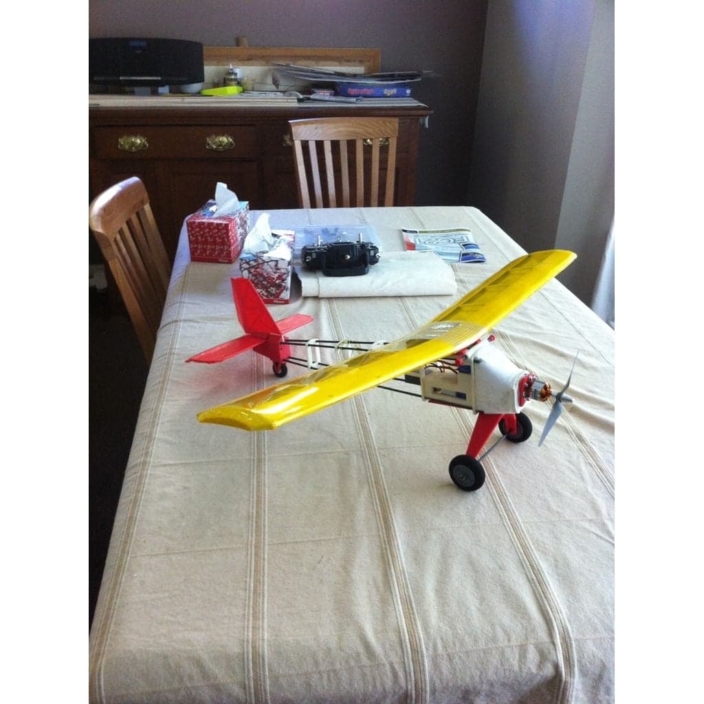 Радиоуправляемый самолет с бесщеточным двигателем - гибрид АБС-пластика и пенополистирола.