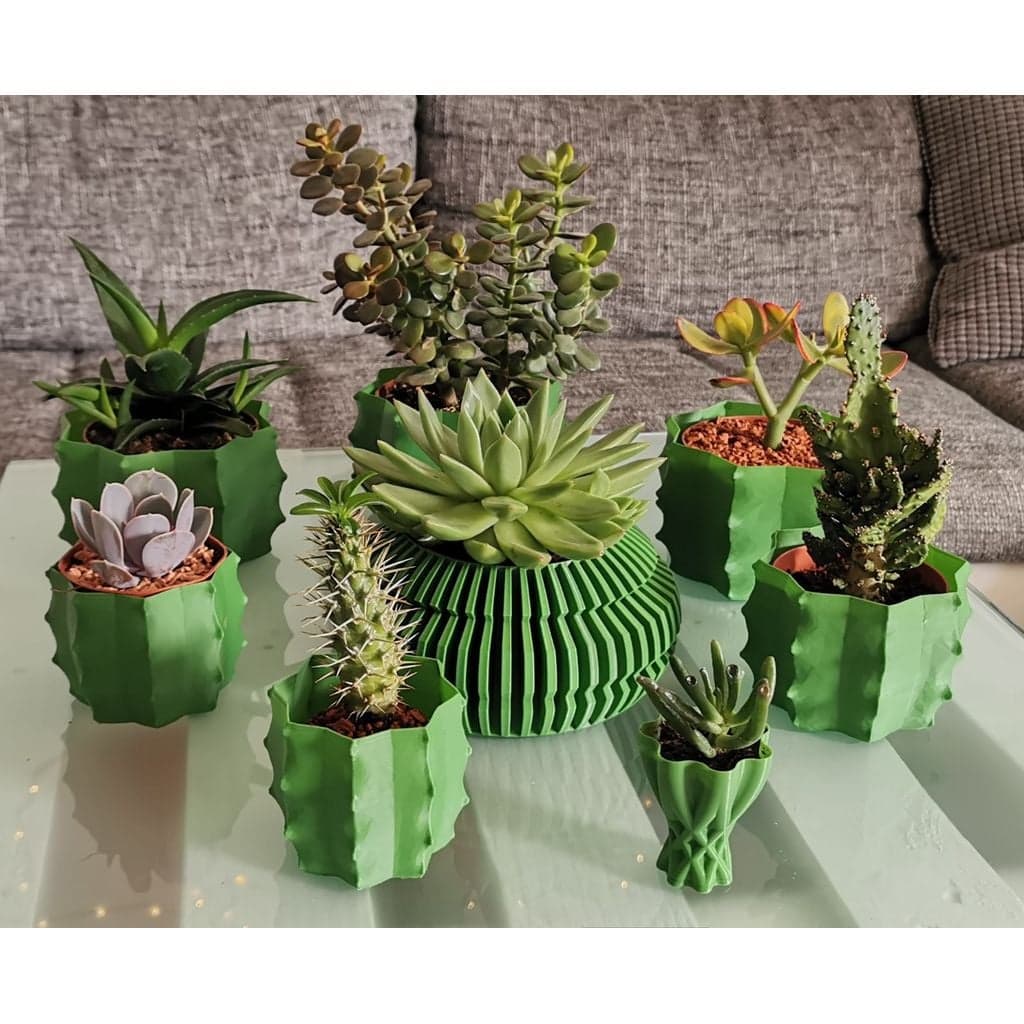 Ваза для кактуса - vasemode