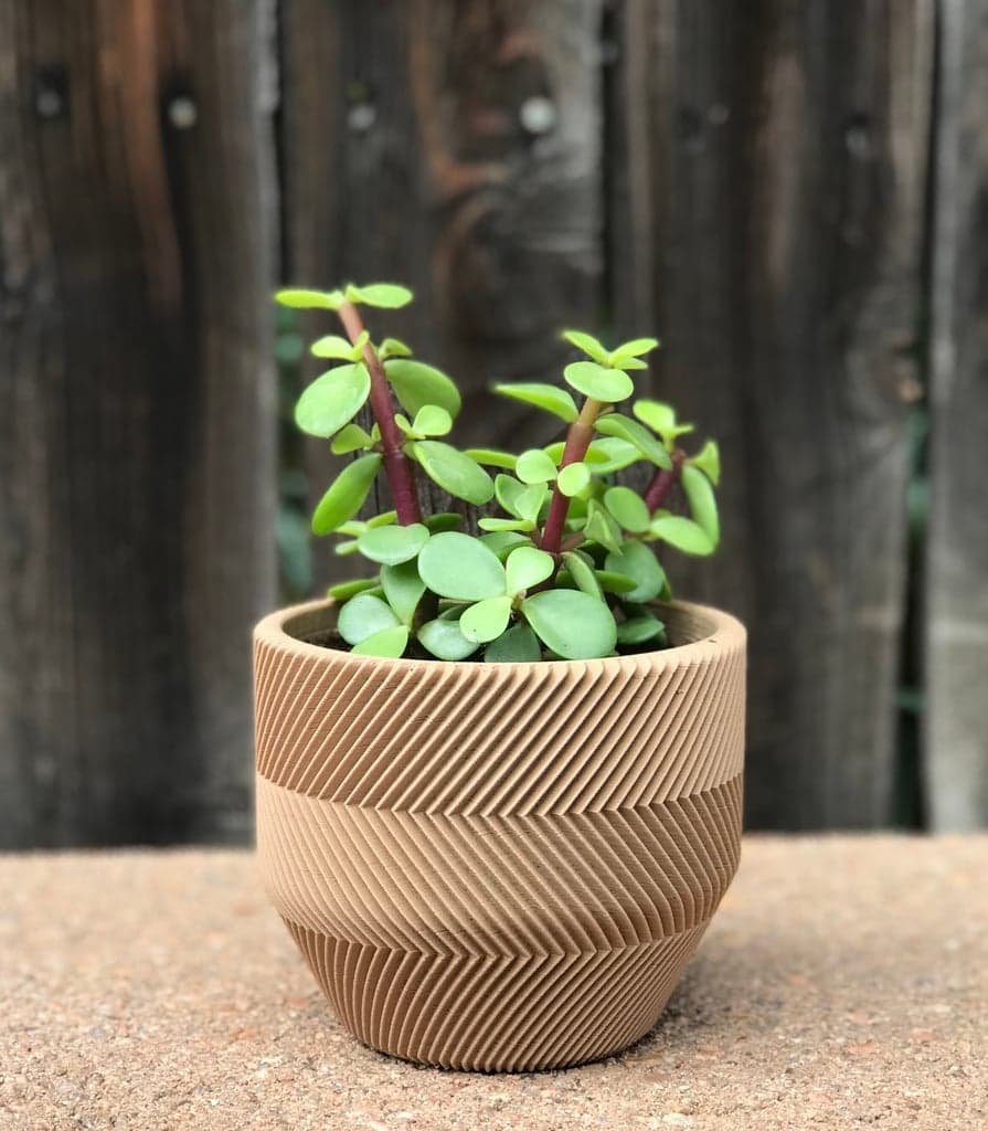 Сочная кашпо – для ленивых