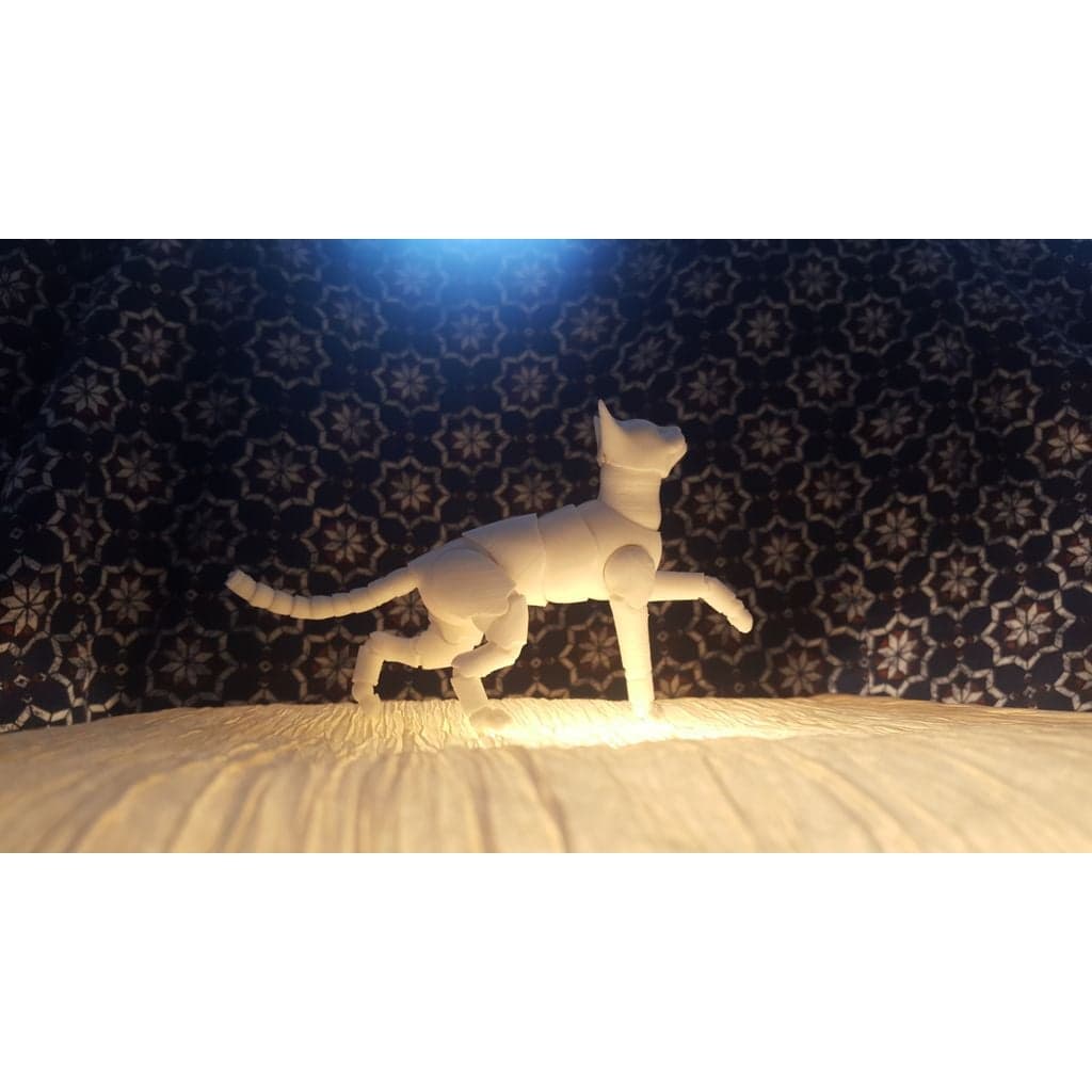 Као Мани Кот