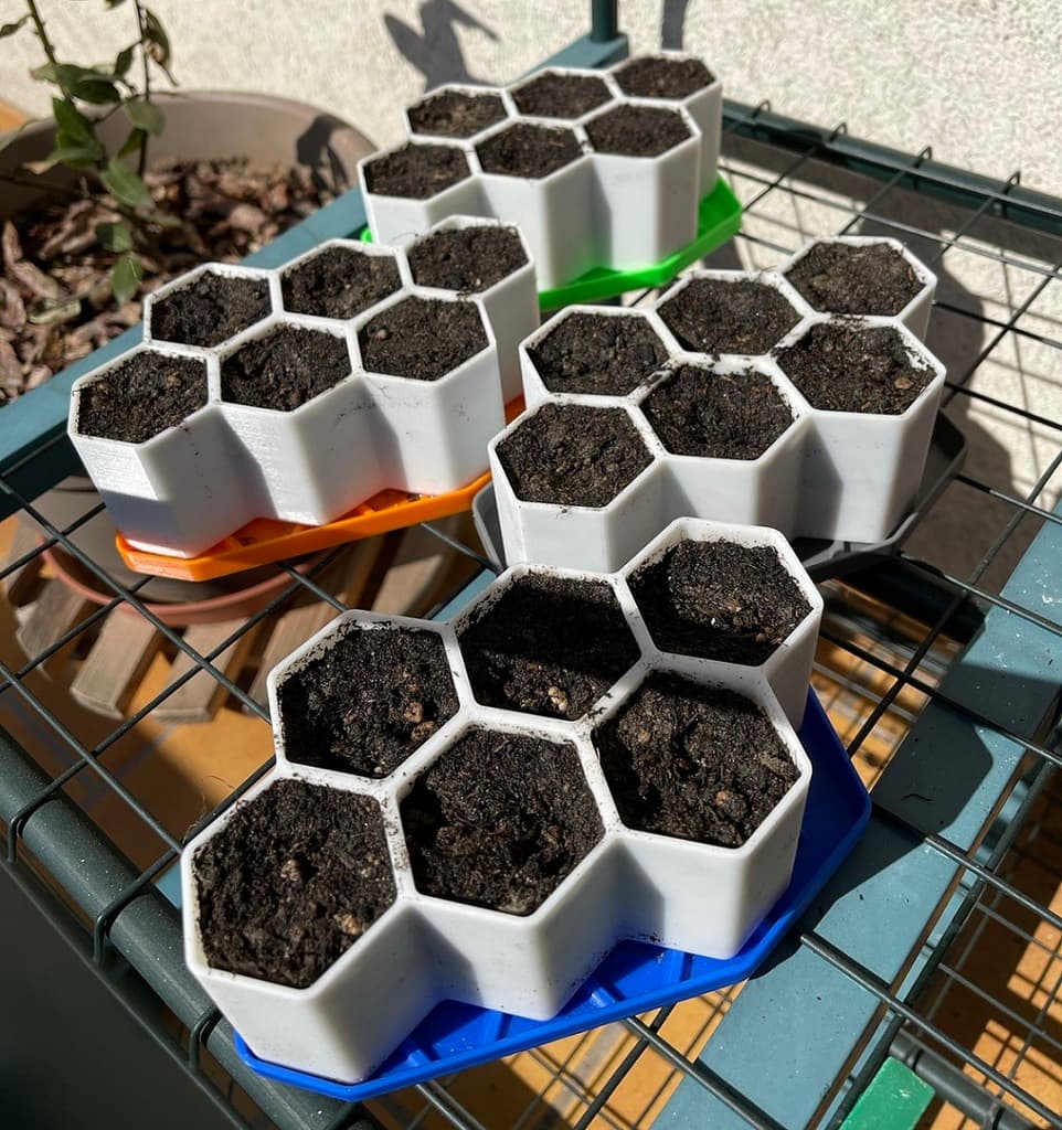 Начальный производитель растений