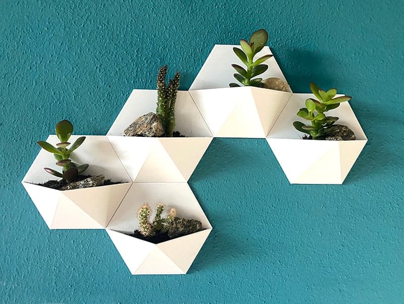 Сочная ваза