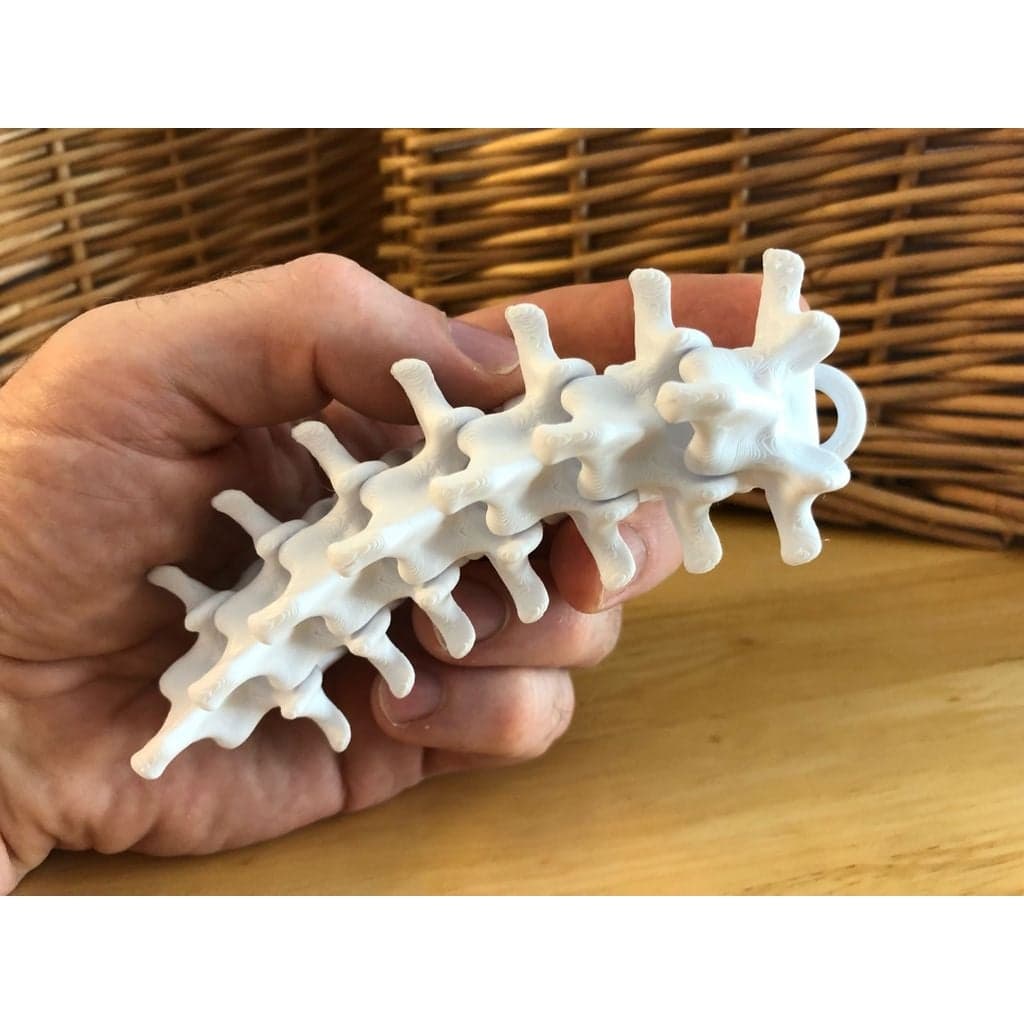 Мини-брелок с шарнирным позвоночником