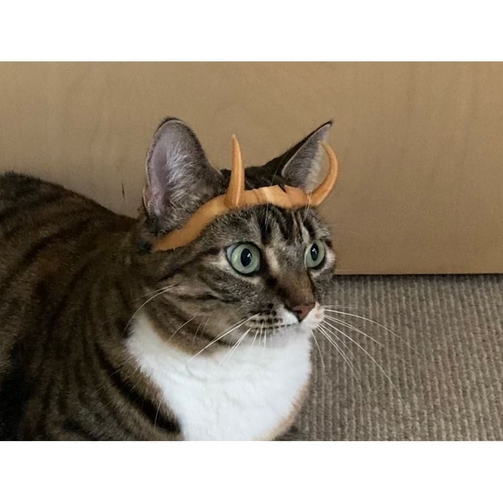 Корона Локи/Сильвии (вариант Кота)