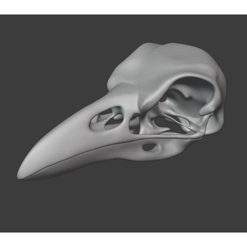 Череп ворона