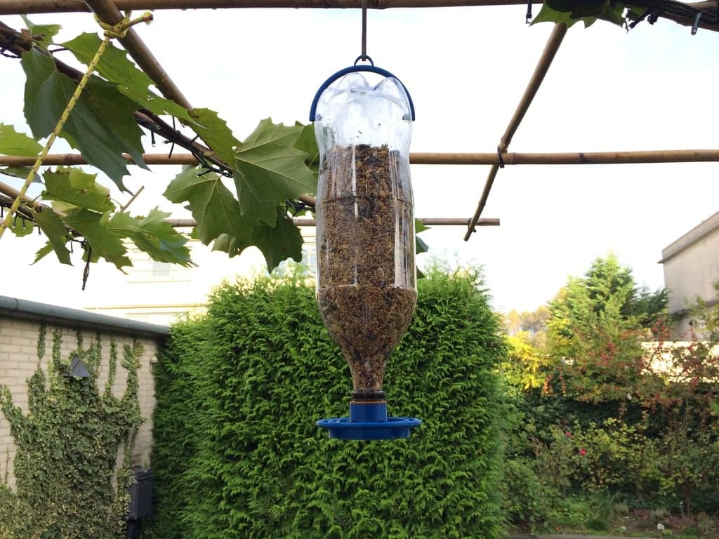 Раздатчик корма для птиц