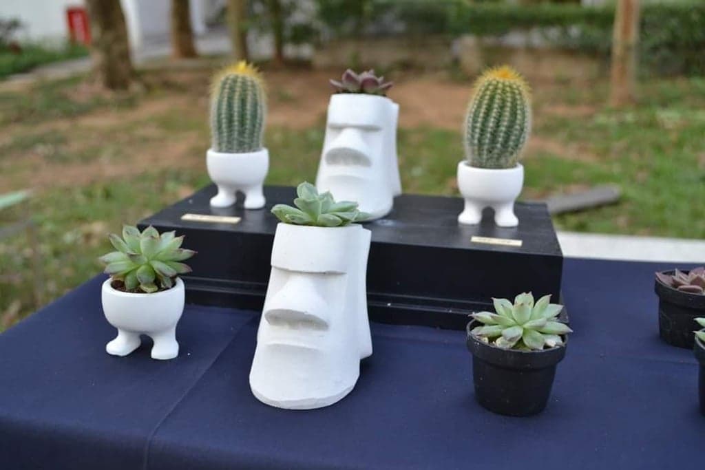 Прогулка Горшечные растения