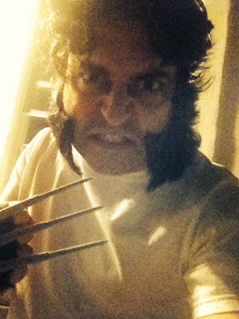 Вытягивание когтей росомахи