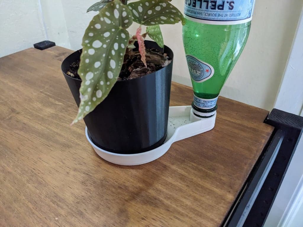 Блюдо для самостоятельного полива растений