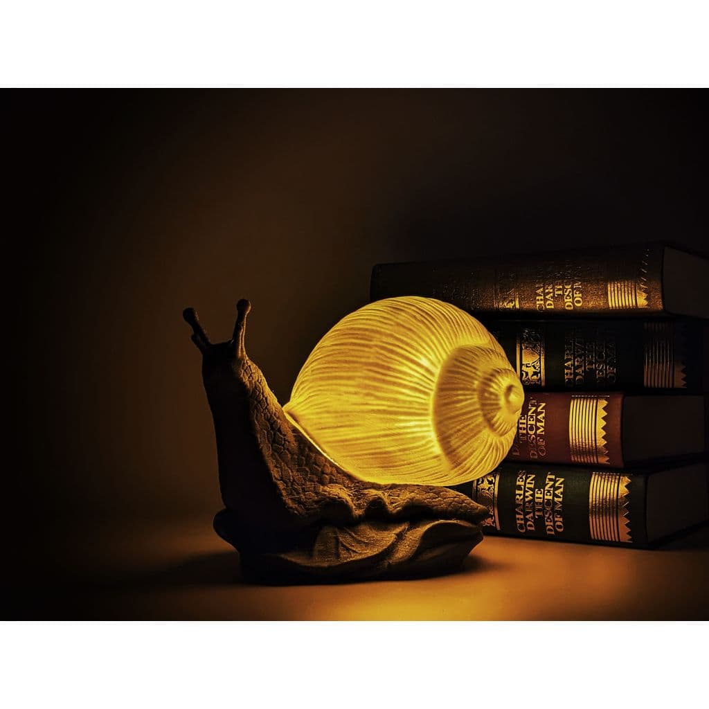 Улитка лампа