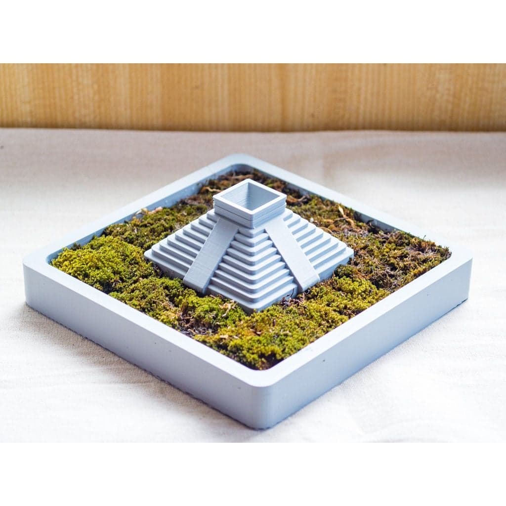 Плантатор древней пирамиды майя