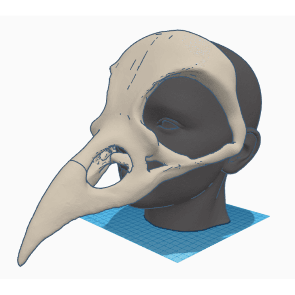 Маска черепа ворона