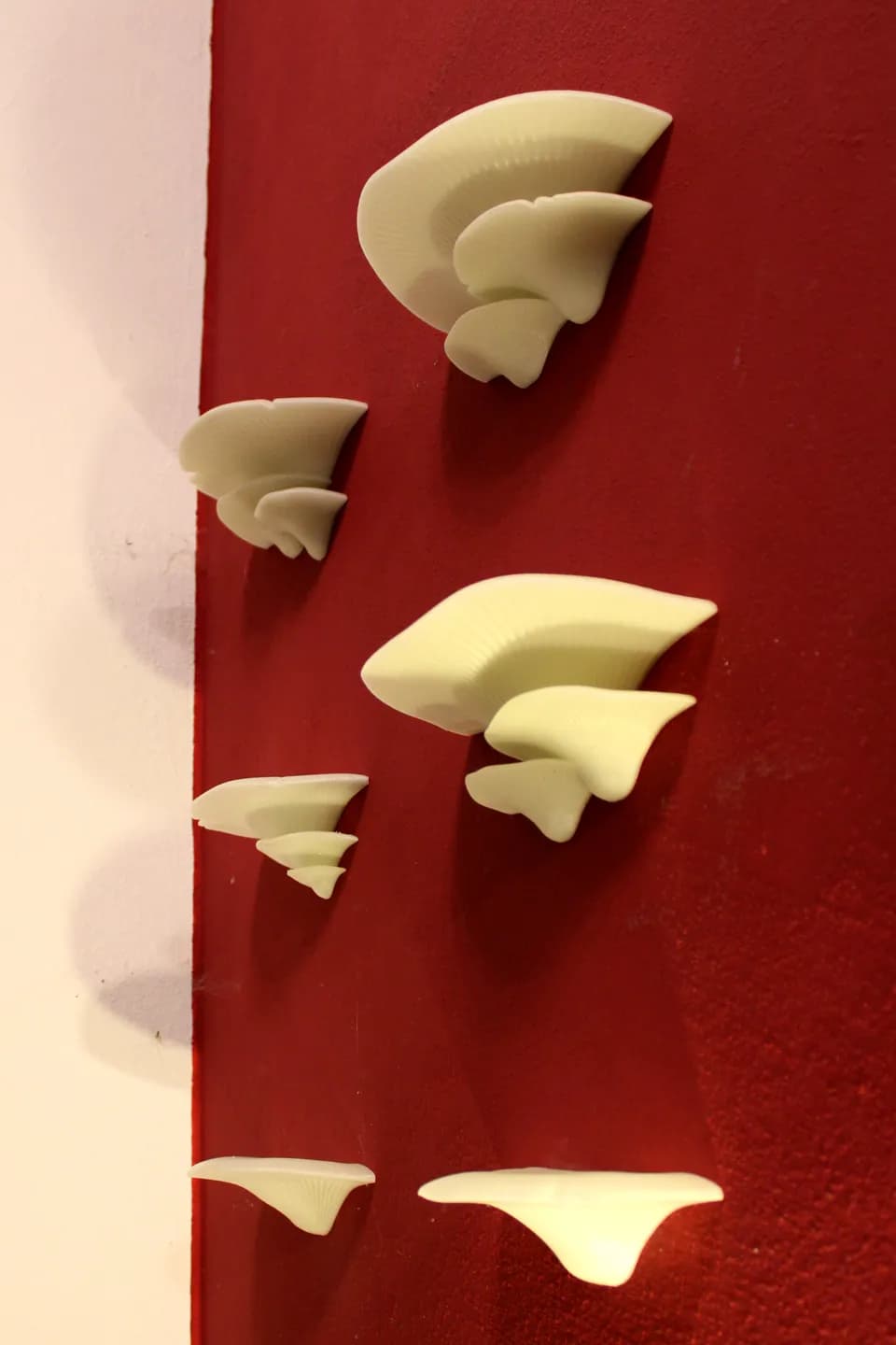 Большие грибные полки с настенным кронштейном и еще два дизайна