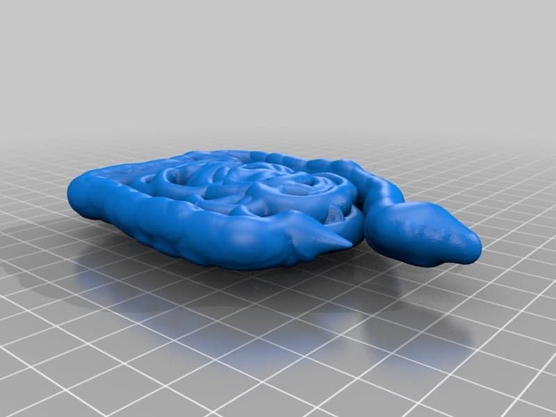 Человеческий скелет