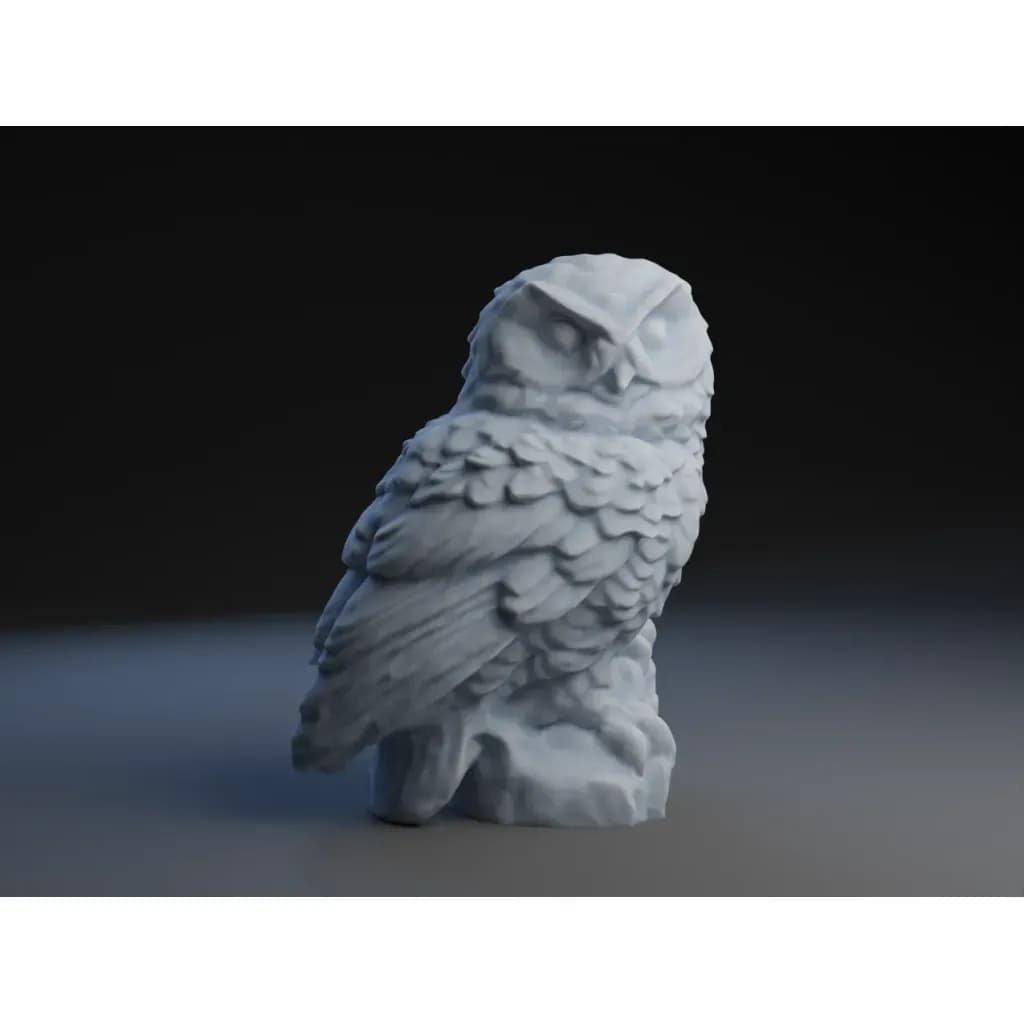 Хедвиг - Гарри Поттер