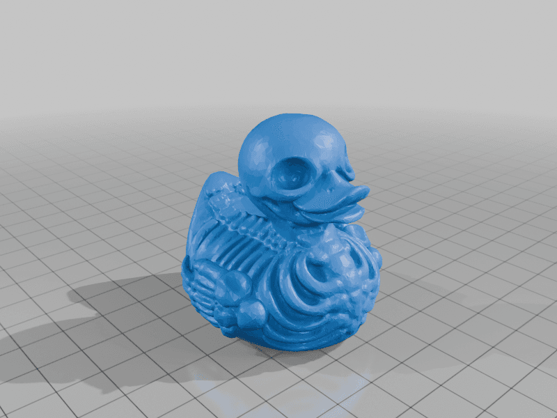 Скелет утки