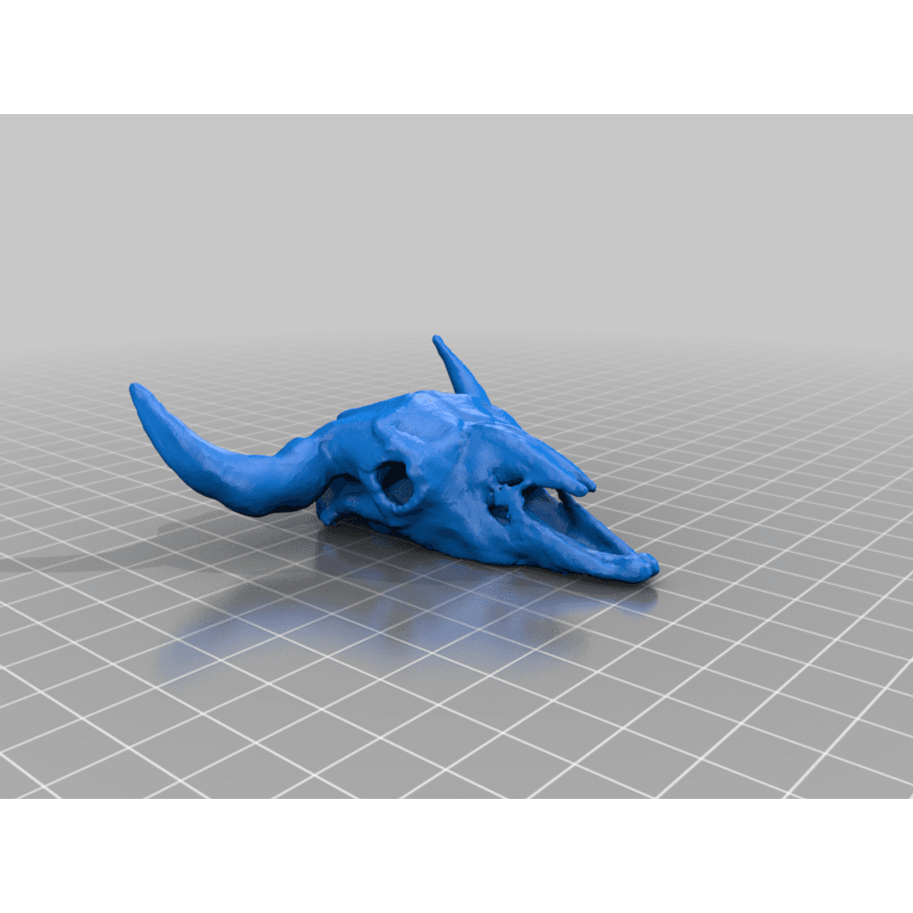 Череп буйвола (американский бизон)