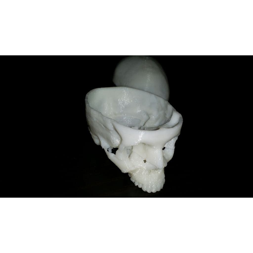 Человеческий череп, анатомически правильный и пригодный для печати, с добавлением челюсти