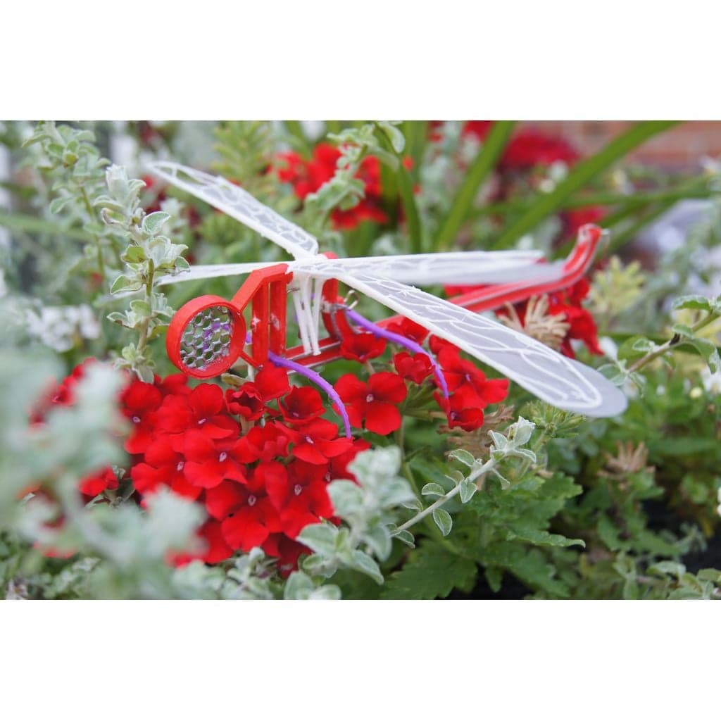 Стрекоза Наука